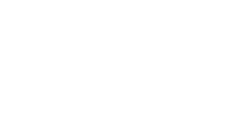 Fly Face